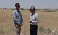 برنامه برکت ویژه کشاورزی حفاظتی در شهرستان خدابنده _ بخش افشار _روستای گوگرچینک