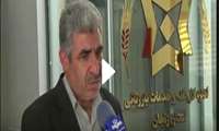 خرید ۱۴۰ هزار تن گندم تا ۲ مردادماه ۱۴۰۵ در استان زنجان