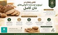 نقش زنجان در ترویج و توسعه نانوایی های «نان کامل»