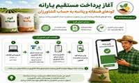 مدیر شرکت خدمات حمایتی کشاورزی استان زنجان/ آغاز پرداخت مستقیم یارانه کودهای فسفاته و پتاسه به حساب کشاورزان 