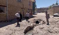 بازدید و ارزیابی فنی قنات روستای قیاسیه شهرستان سلطانیه