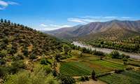 طارم در مسیر هوشمندسازی؛ کشاورزی مدرن، کلید طلایی کاهش هزینه‌ها و رونق تولید