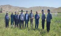 تحویل موقت طرح ۱۰۰ هکتاری آبیاری تحت فشار در روستای ایالو شهرستان ماهنشان