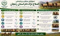 عملکرد و برنامه های اصلاح نژاد دام استان زنجان
