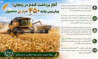 پیش بینی تولید ۴۵۰ هزارتن محصول