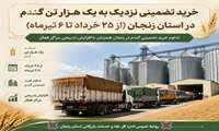 خرید تضمینی نزدیک به یک هزار تن گندم در استان زنجان (از ۲۵ خرداد تا ۶ تیرماه)