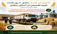 ۲ هزار تن گندم؛ حاصل ۱۰ روز نخست خرید تضمینی در استان زنجان (اواخر خرداد تا ۷ تیرماه)