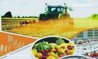 زنجان در خط مقدم امنیت غذایی؛ تلاش برای تاب‌آوری در شرایط بحران