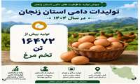 تولید تخم‌مرغ در استان زنجان