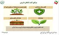  اینفوگرافی | مزایای کشت گیاهان دارویی