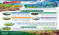 هشدارهای فنی پدیده ال نینو/ مدیریت خاک و بستر کشت در مواجهه با پدیده ال نینو