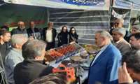 برگزاری پنجمین جشنواره «ترش و شیرین» و نمایشگاه توانمندی‌های کشاورزی در خرم‌دره