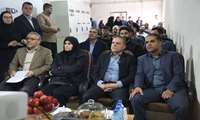 بزرگ‌ترین باغ یکپارچه زیتون کشور در طارم به بهره‌برداری رسید