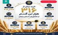  خرید بیش از 316 هزار تن گندم از کشاورزان استان زنجان