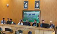 99 درصد تولید زیتون در استان در شهرستان طارم اتفاق می‌افتد