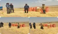 توسعه و ترویج زکات در شهرستان ماهنشان