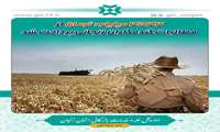 4544 میلیارد تومان از مطالبات گندمکاران زنجانی پرداخت شد