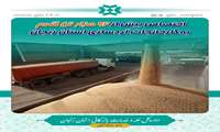 اختصاص بیش از 92 هزار تن گندم به کارخانجات آردسازی استان زنجان