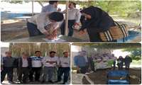 کیل گیری مزرعه یونجه
