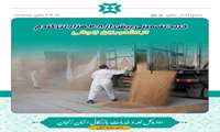 خرید تضمینی بیش از 208 هزار تن گندم از کشاورزان زنجانی