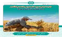 رتبه نهم خرید تضمینی گندم کشور به استان زنجان رسید