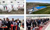 همزمان با هفته جهاد کشاورزی 28 پروژه بخش کشاورزی در استان زنجان به مرحله بهره برداری رسید