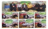 کشاورزان نمونه ملی مرکز جهاد کشاورزی شهرستان سلطانیه در برنامه ارتباط مستقیم با شبکه ملی برکت