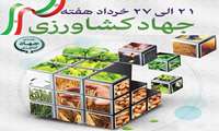 بهره برداری از  27 پروژه کشاورزی در استان زنجان