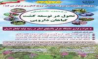 دومین همایش تحول در توسعه کشت گیاهان دارویی