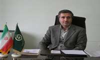خرید توافقی محصول زیتون سال 1401 استان توسط مدیریت تعاون روستایی استان زنجان