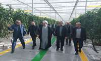 بازدید میدانی رئیس کل دادگستری ، دادستان و تعدادی از مدیران اجرائی استان ازشهرک گلخانه ای شیشه ای وحدت استان زنجان
