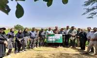روز مزرعه "اصول فنی کشت لوبیا" با حضور محقق مرکز تحقیقات و آموزش کشاورزی، برگزار شد