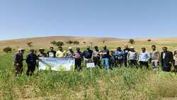 برنامه روز مزرعه - روستای سعید آباد شهرستان ایجرود