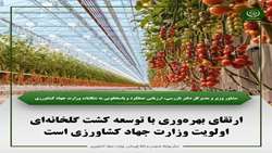 ارتقای بهره‌وری با توسعه کشت گلخانه‌ای اولویت جهاد کشاورزی است