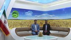 اقدامات بسیار خوبی در بخش های مختلف کشاورزی استان زنجان انجام شده است 