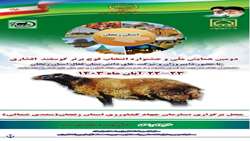  همایش ملی و جشنواره انتخاب قوچ برتر گوسفند افشاری