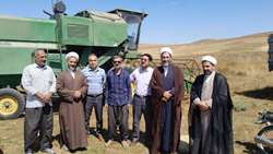 بازدید از مزارع گندم