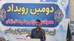 رکورد سالانه تولید گندم در زنجان شکست