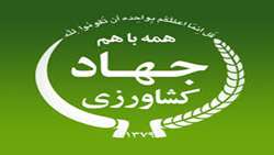 برگزاری جلسه کمیته تخصصی ساختار و هوشمندسازی اداری