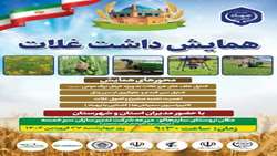 برگزاری همایش داشت غلات توسط مدیریت جهاد کشاورزی شهرستان سلطانی