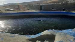 گزارشی از پرورش قزل آلای آقای مهدی حیدری در روستای حمزه خان
