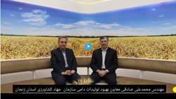 طرح افزایش تولید در دامداری های سبک روستایی و عشایری استان زنجان  محمدعلی صادقی معاون بهبود تولیدات دامی سازمان جهاد کشاورزی استان زنجان