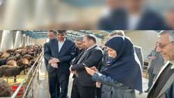افتتاح واحد تولیدی مجتمع غذایی افضل لبن در شهرستان سلطانیه