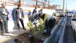 در راستای مراسم فرهنگی و اجتماعی روز جهانی خاک 1403 در ورودی دبستان ثمین نهال کاری شد. 