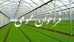 فراخوان عمومی شهرک گلخانه ای استان زنجان