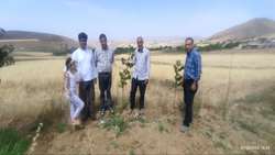 بازدید کارشناسان جهاد کشاورزی زنجان از توتستان و کارگاه پرورش کرم ابریشم سعیدکندی