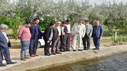 بازرس کل استان زنجان از زنجیره تولید آبزیان شهرستان ماهنشان بازدید کرد