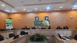 نشست تخصصی بررسی مسائل و مشکلات فعالیت زنان روستایی و عشایری در زنجان برگزار شد