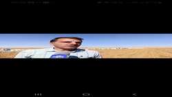 برداشت سیب‌زمینی در اراضی حاصل خیز سلطانیه آغاز شد