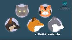 پیشگیری از بیماری هاری